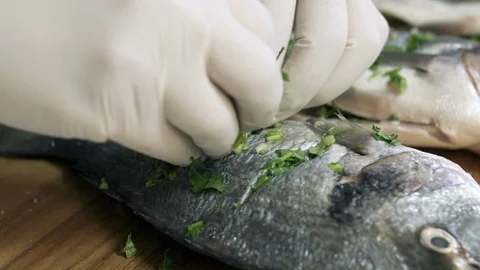 Stuffing fresh sea bream with coriander and spices before roasting in oven Stock Footage 122234983