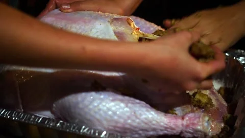 Stuffing raw turkey with bread herbs in dim lighting for Thanksgiving dinner Stock Footage 344240044
