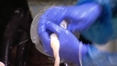 Stuffing sausage casing with minced meat, sausage and sausage production Video stock 104879962