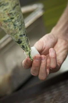 Stuffing squid Stock Photos