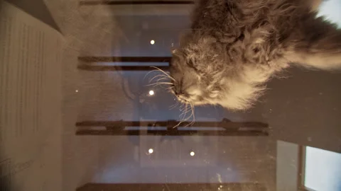 Stuffs from below Stock Footage 276494277