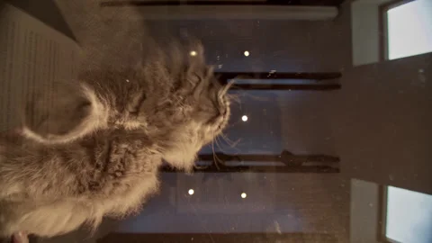 Stuffs from below Stock Footage 276494284