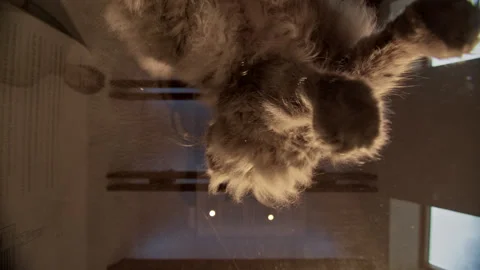 Stuffs from below Stock Footage 276495507