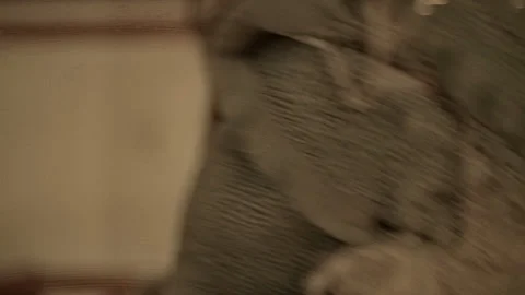 Stuffs from below Stock Footage 276570263