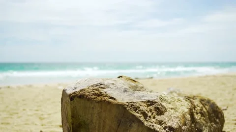 Stump beach with landscape view of beach sea sand and blue sky in summer day. Stock Footage 156856879