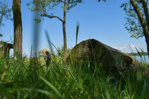 Stump in the grass and the river in background Stock Photos