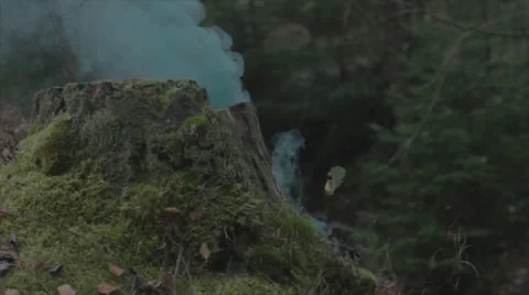 Stump in green smoke Stock Footage 59775649