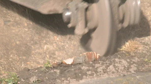 Stump grinder head 스톡 동영상 527347