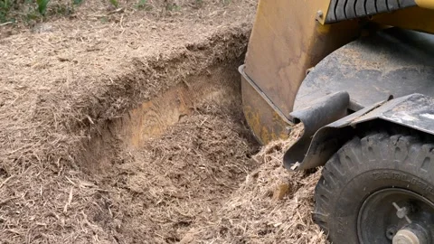 Stump grinder for tree stump removal, Tutzing, Bavaria, Germany 動画素材 273138775