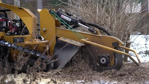 Stump grinding Stock Footage 149993418