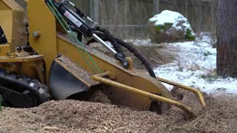 Stump grinding Stock Footage 149995695