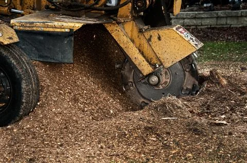 Stump Grinding Machine in Action Stockfoto's