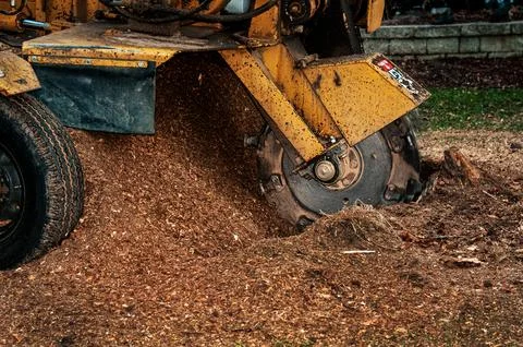 Stump Grinding Machine in Action 스톡 사진