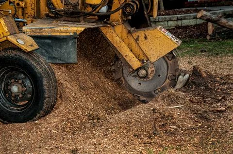 Stump Grinding Machine in Action 스톡 사진