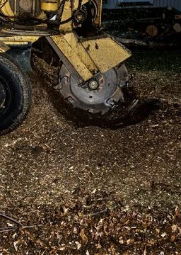 Stump Grinding Machine in Action 스톡 사진