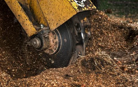 Stump Grinding Machine 스톡 사진