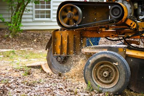 Stump Grinding Stock Photos