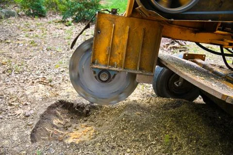 Stump Grinding Stock Photos