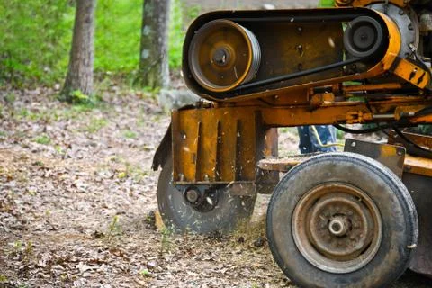 Stump Grinding Stock Photos