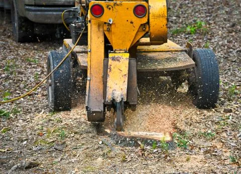 Stump Grinding Stock Photos