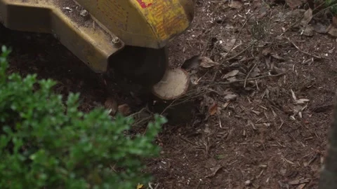 Stump Grinding Removing Cutting Closeup Stock Footage 172218940