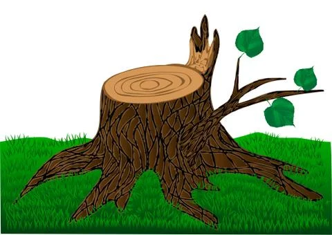 Stump Stock Illustration
