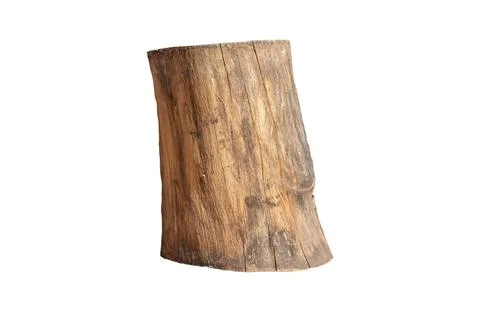 Stump isolated on white background. 写真素材