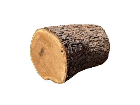 Stump isolated on white background. Stock Photos
