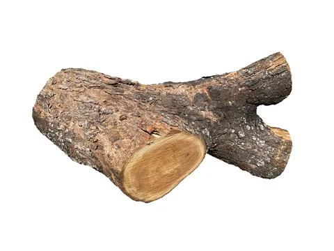 Stump isolated on white background. Stock Photos