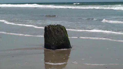 Stump at low tide Stock Footage 30133155