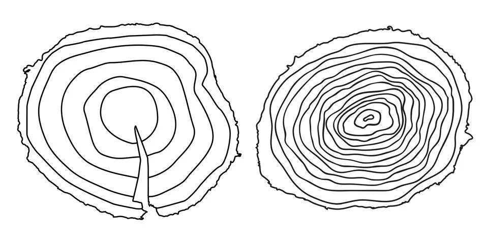 Stump. Muzzle. Cut of Tree. Illustration. Stock Illustration