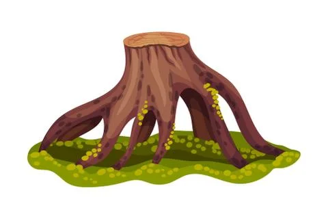 Stump or Tree Stub with Roots Covered with Green Moss as Forest Element Vector Stock Illustration