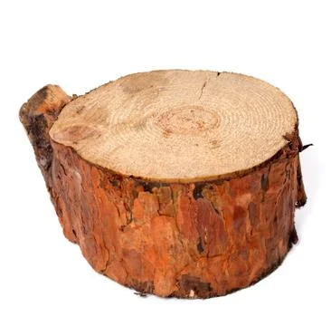 Stump of pine tree Stock Photos