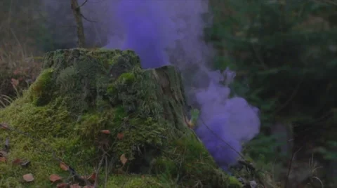 Stump in purple smoke Stock Footage 59775650