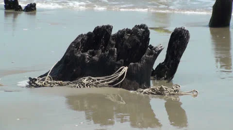 Stump With Rope Stock Footage 23132261