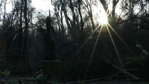 A stump at sunset in early spring Vídeo Stock 128546816
