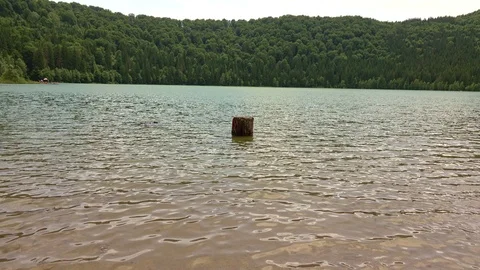 Stump from tree in the lake Stock Footage 113564362