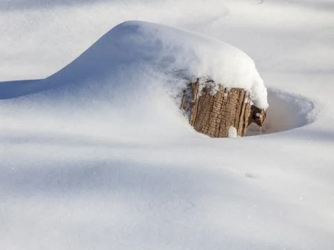 Stump under snow Stock Photos