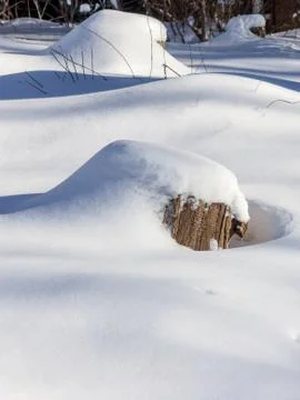 Stump under snow Stock Photos