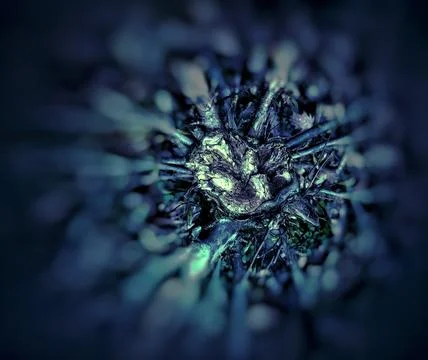 STUMPED Stock Photos