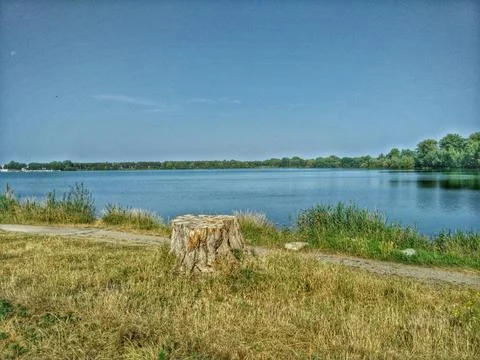 Stumped 스톡 사진