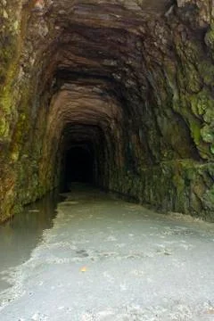 Stumphouse tunnel 스톡 사진