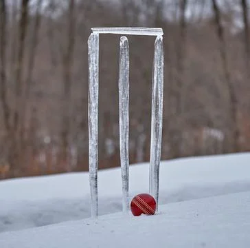 Stumps of icicles Foto stock