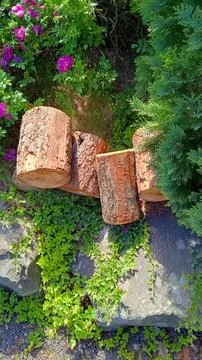 Stumps Stock Photos