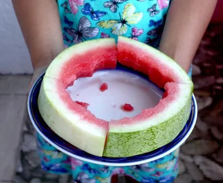 Stumps of watermelon Stock Photos