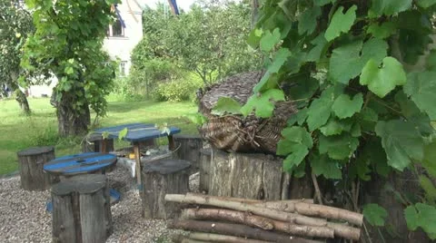 Stumps with wooden table in backyard Stock Footage 11888417