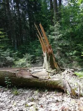 Stunk  after  broken Stock Photos