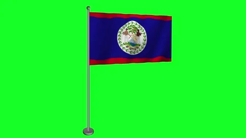 Stunning 3D Animation of the Belize Flag Waving Proudly Stock Footage 276426859