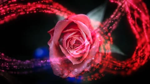 Stunning 3D render of glowing red roses with vibrant light effects Stock Footage 346888360