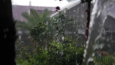 A Stunning 4k Slow Motion video of a Lowveld storm in Johannesburg Stock Footage 259643071